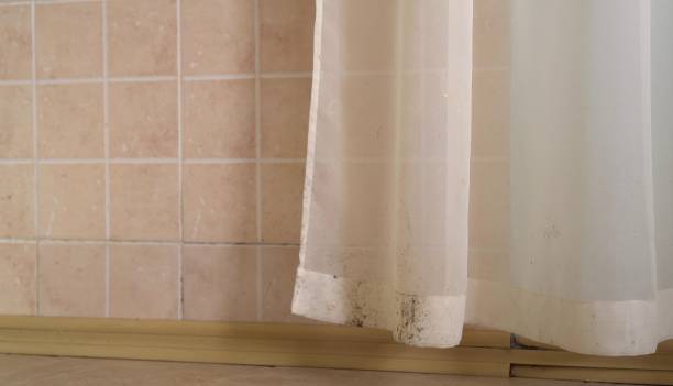 Best Water Damage & Mold Remediation  in Bluffdale, UT