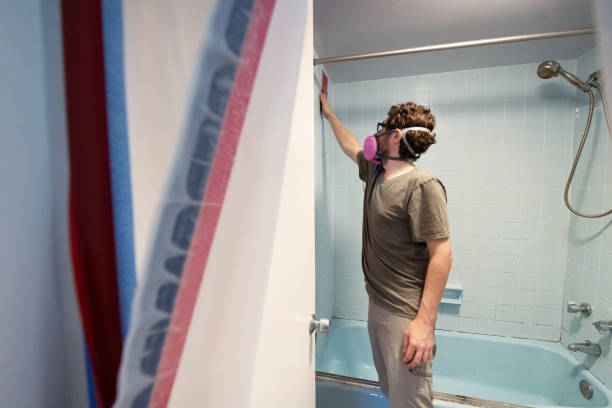 Reliable Bluffdale, UT Mold Removal Solutions