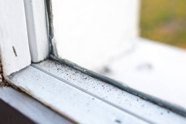 Best Air Quality Testing for Mold Spores  in Bluffdale, UT