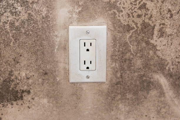 Best HVAC Mold Inspection and Cleaning  in Bluffdale, UT